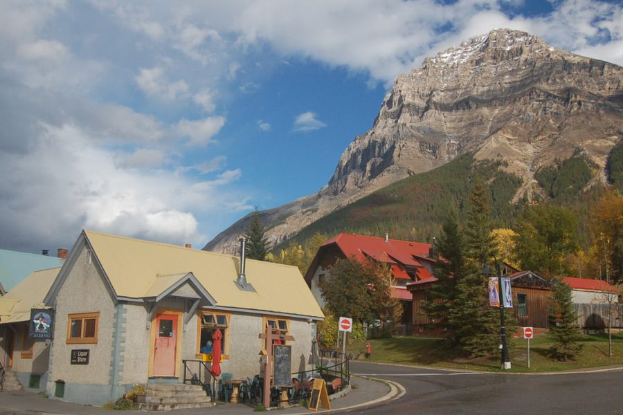 an image illustrating where to buy DMT online British Columbia