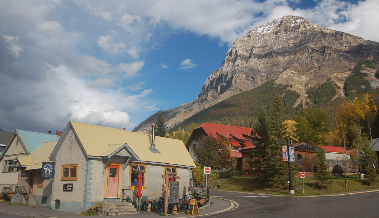 an image illustrating where to buy DMT online British Columbia
