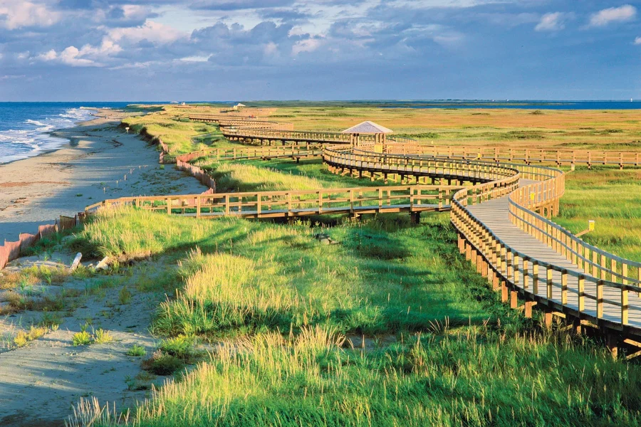 an image illustrating where to buy DMT Online New Brunswick