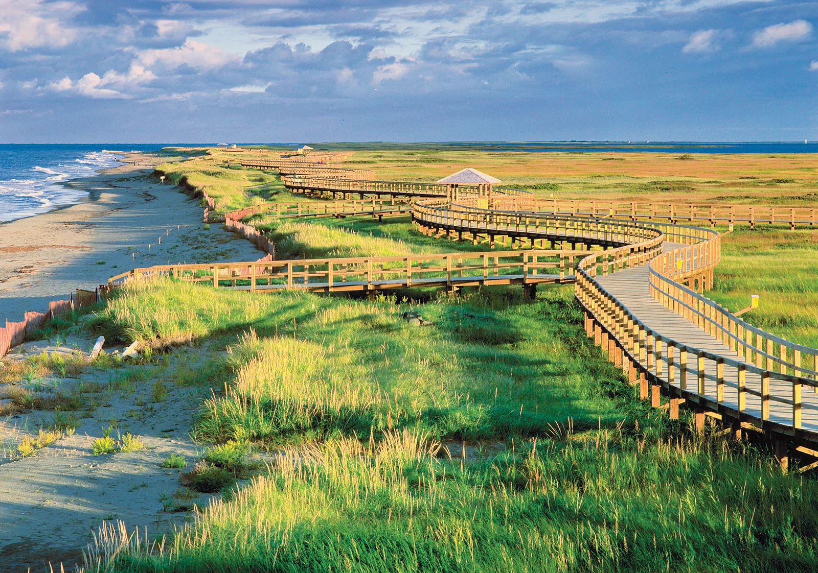 an image illustrating where to buy DMT Online New Brunswick