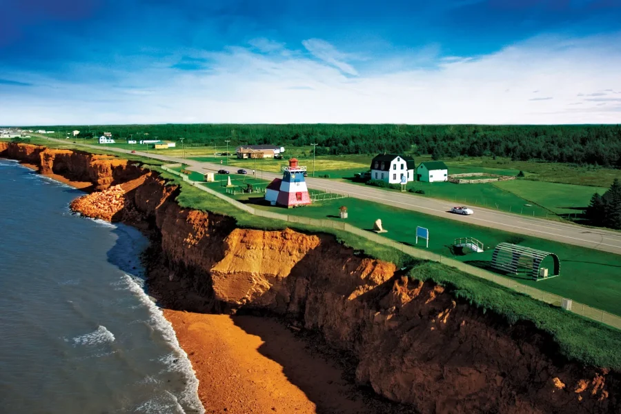 an image of Magic Mushrooms New Brunswick