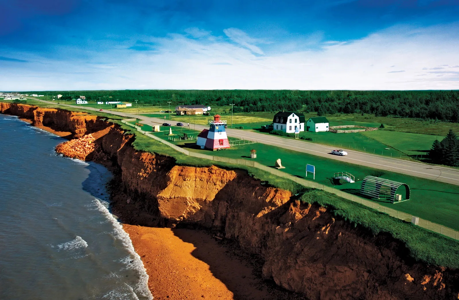 an image of Magic Mushrooms New Brunswick