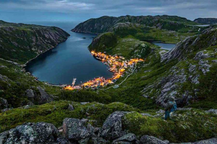 an image of Magic Mushrooms Newfoundland