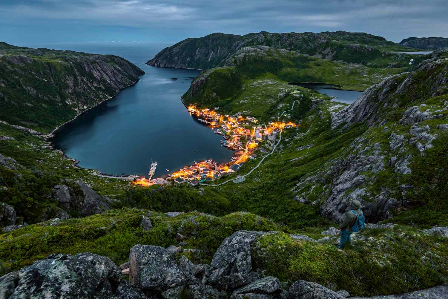 an image of Magic Mushrooms Newfoundland
