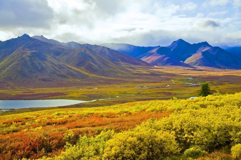 an image illustrating where to Buy DMT Online Northwest Territories