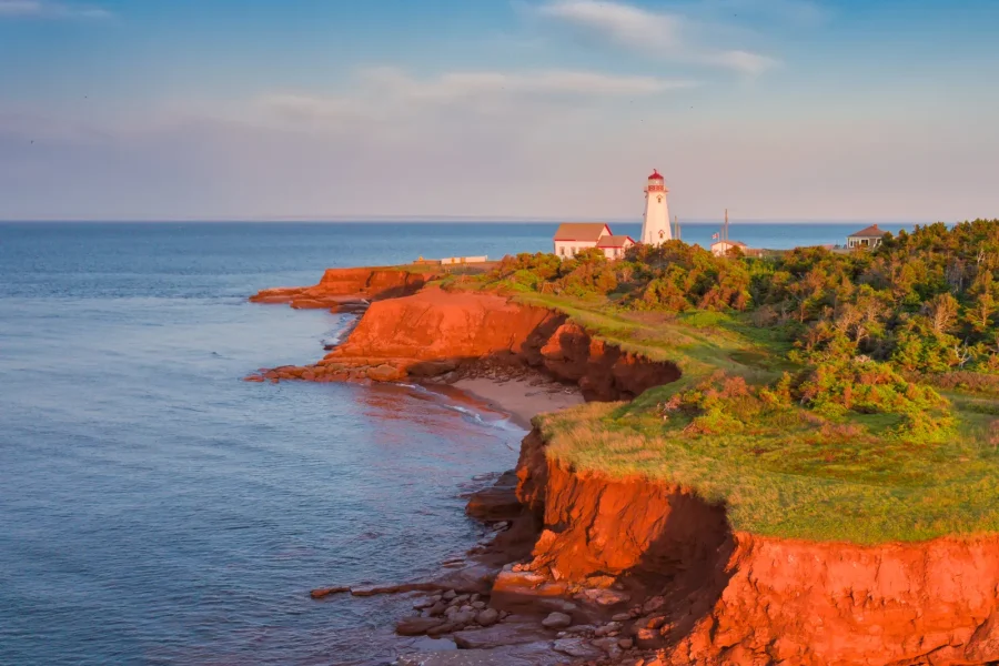 an image of Magic Mushrooms Prince Edward Island