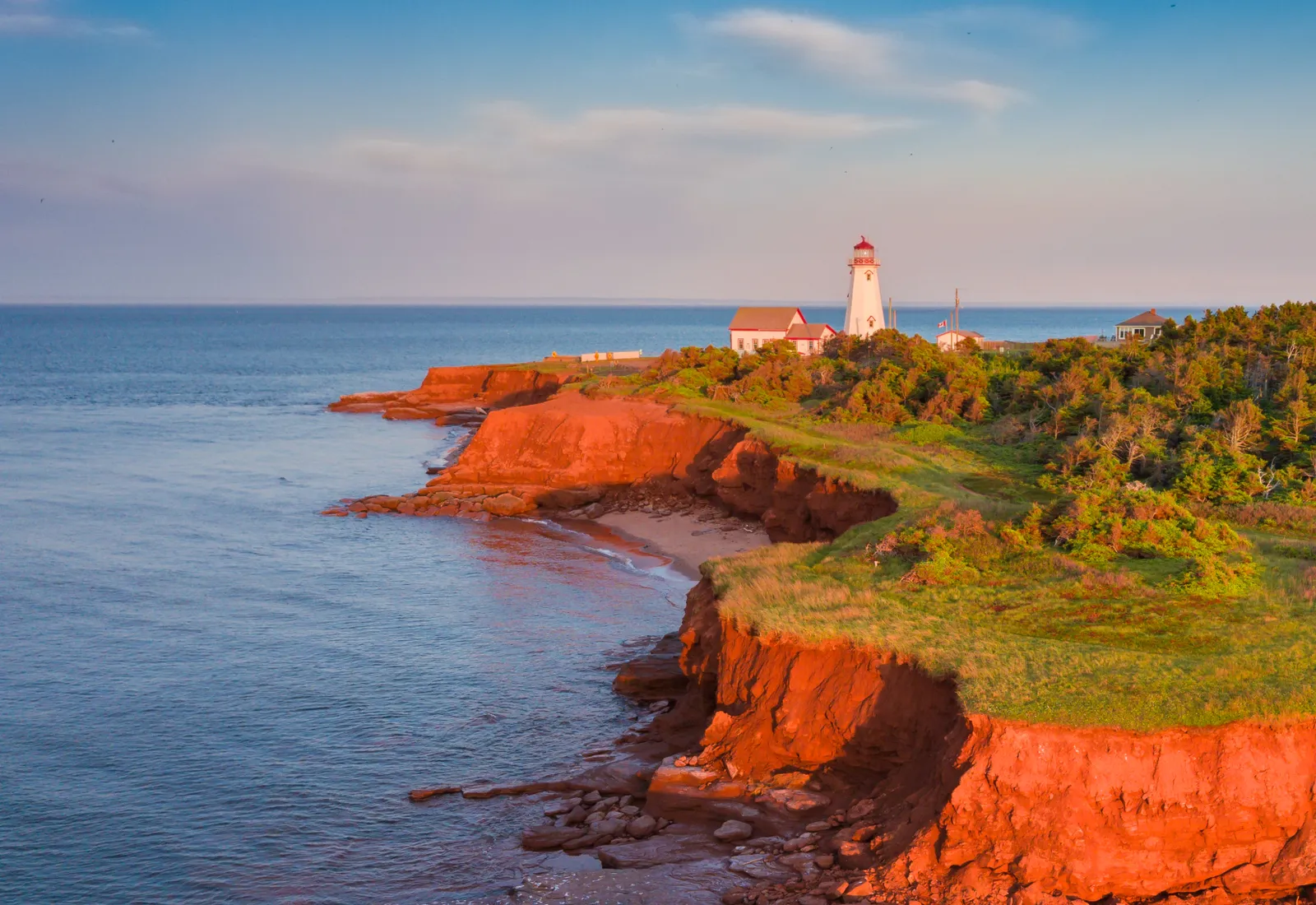 an image of Magic Mushrooms Prince Edward Island