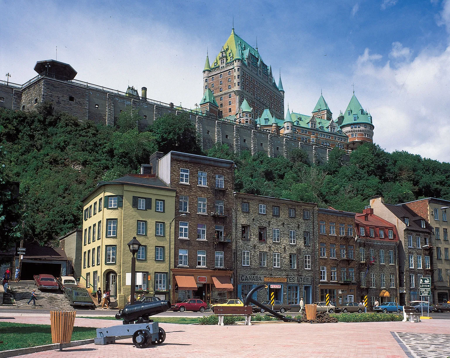 An image showing Magic Mushrooms Quebec