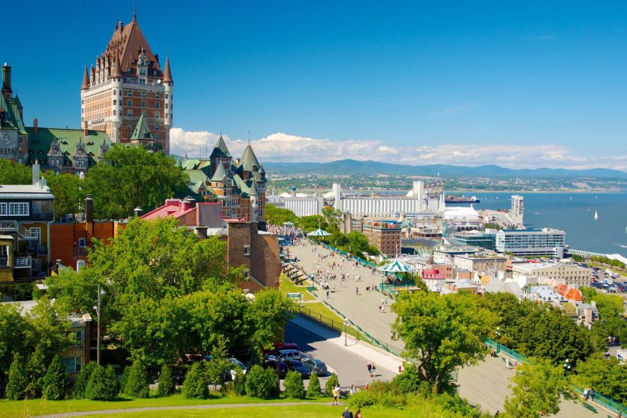 an image illustrating where to Buy DMT Online Quebec