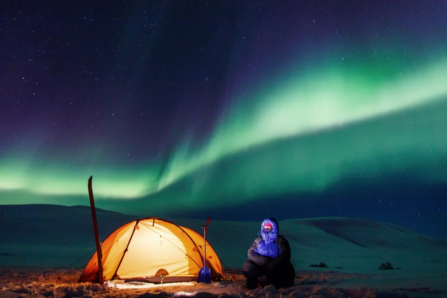 an image of Magic Mushrooms Nunavut