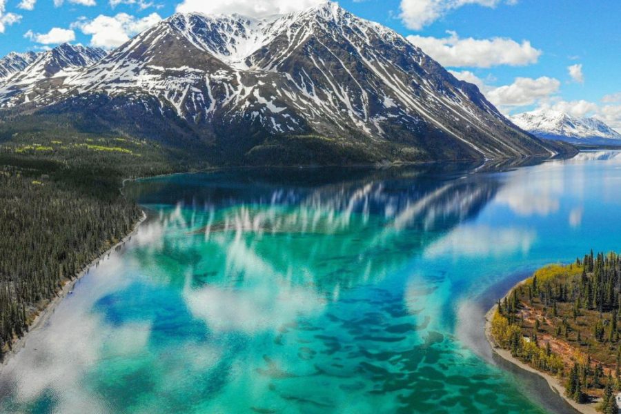 an image of where to do Magic Mushrooms Yukon.