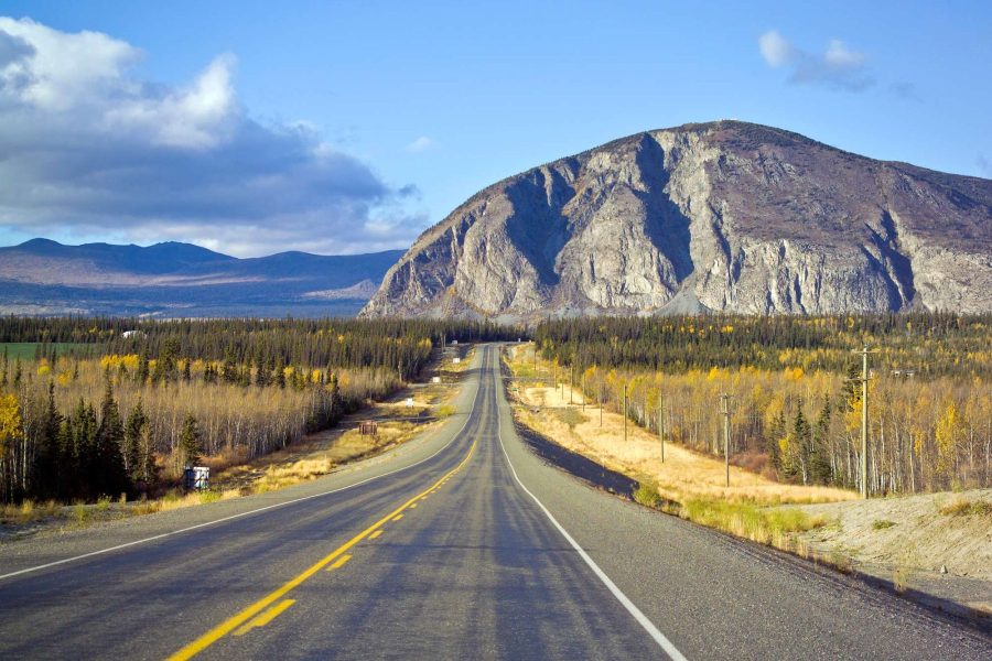 an image illustrating where to Buy DMT Online Yukon