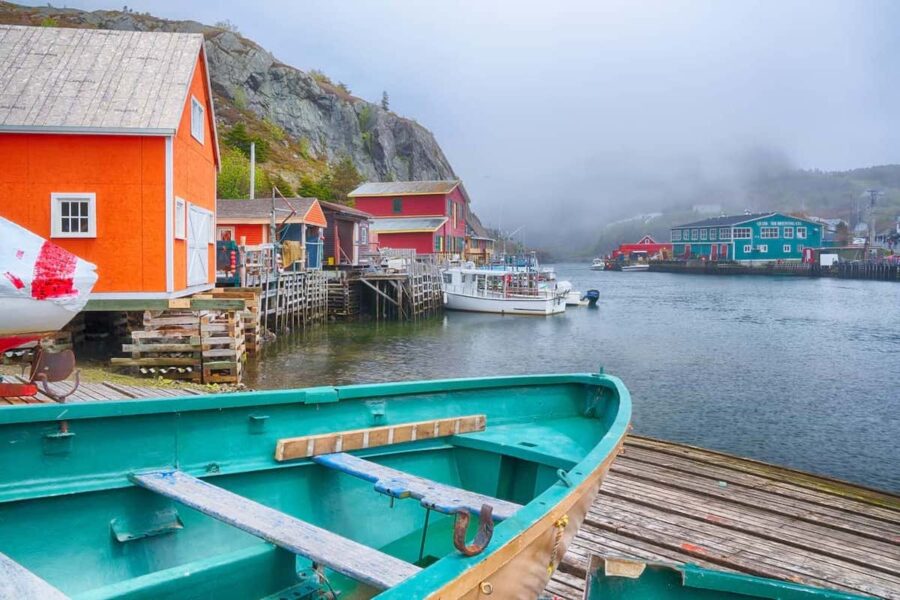 an image of where to buy DMT Online Newfoundland and Labrador