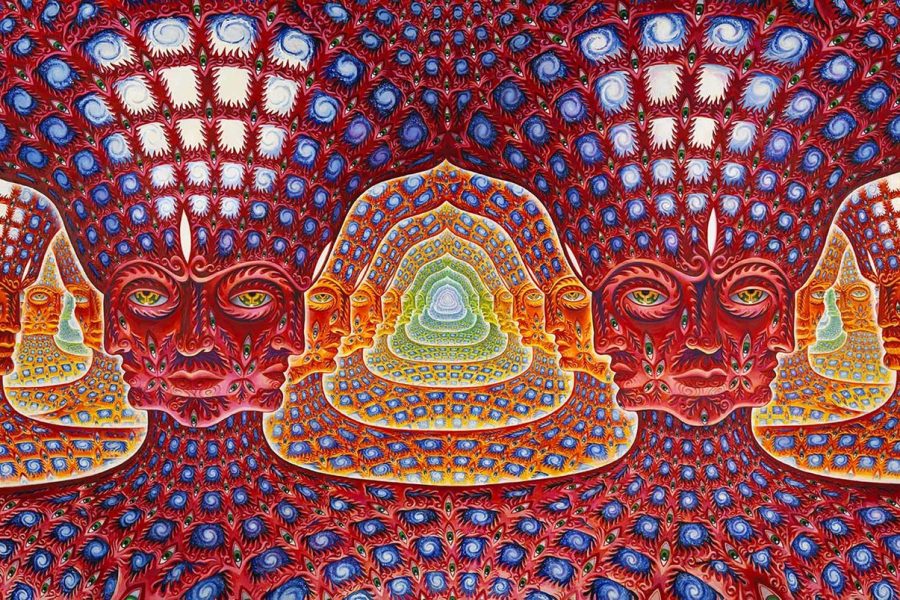 What is DMT