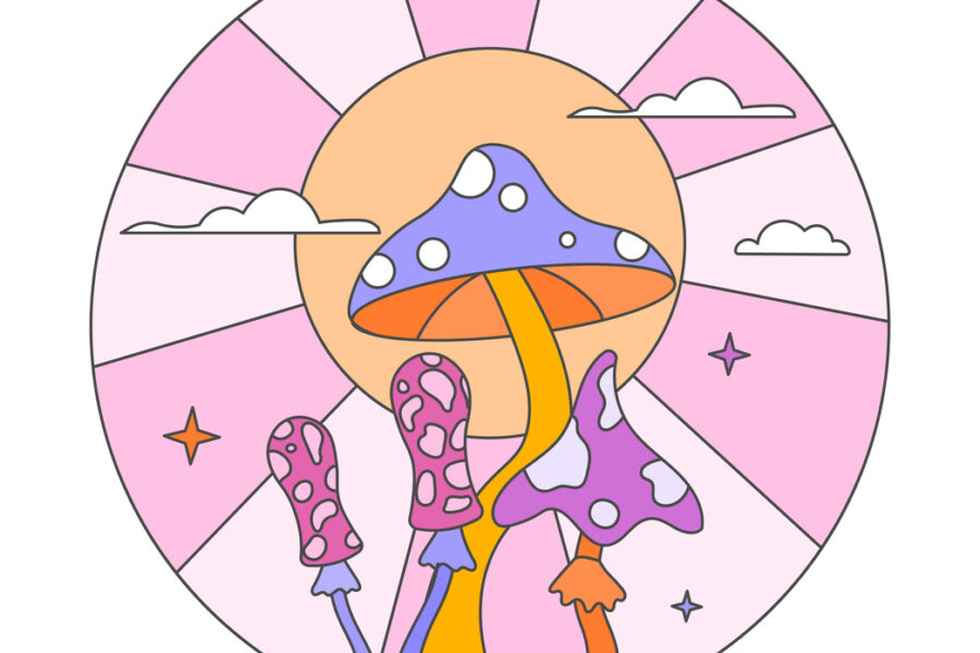 Dehydrating Magic Mushrooms