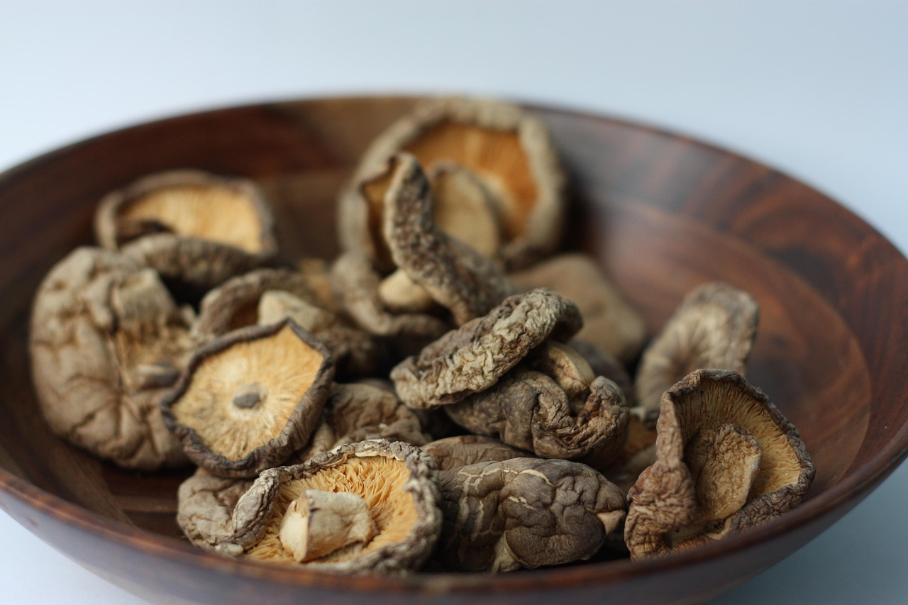 Shelf Life of Magic Mushrooms